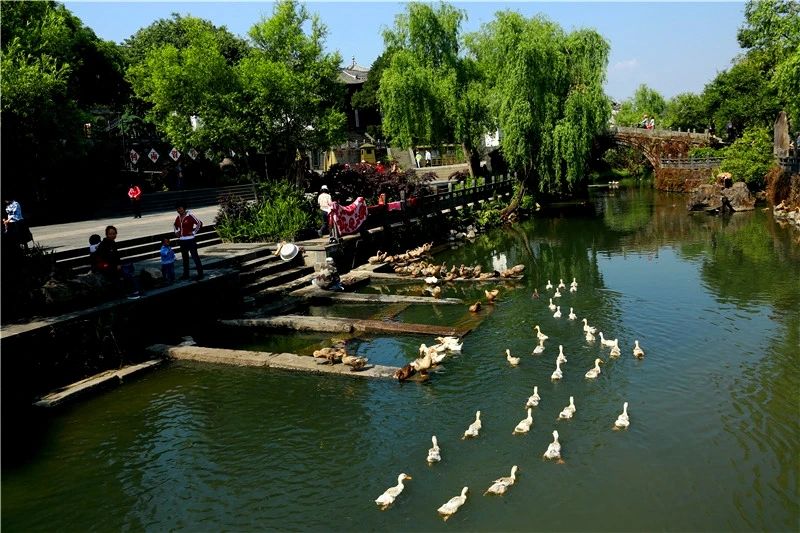 研學(xué)商業(yè)模式或?qū)⒕拮儯”本┕膭?lì)社會(huì)力量參與博物館社教活動(dòng)開(kāi)發(fā)和實(shí)施