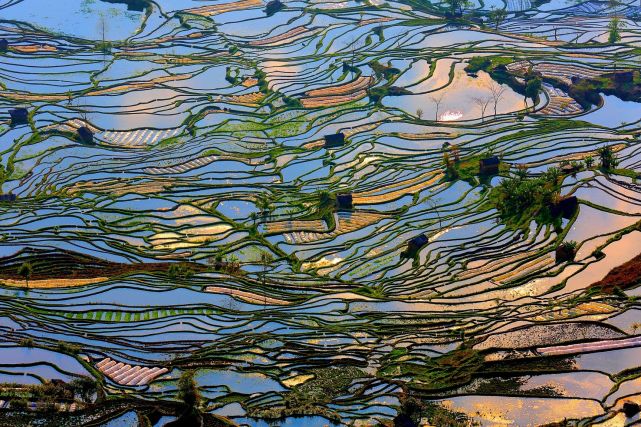 暑假想去云南旅游，有哪些旅游城市可以推薦