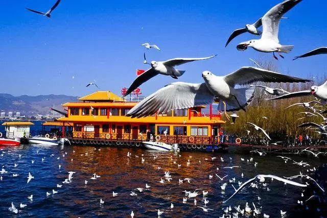 云南品質(zhì)游旅行社推薦，云南旅游選擇品質(zhì)旅游有什么優(yōu)點(diǎn)