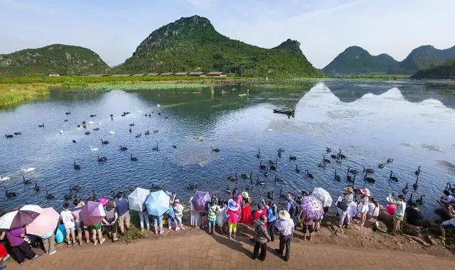 春節(jié)云南特輯 | 人少景美！春節(jié)云南旅游線(xiàn)路推薦十