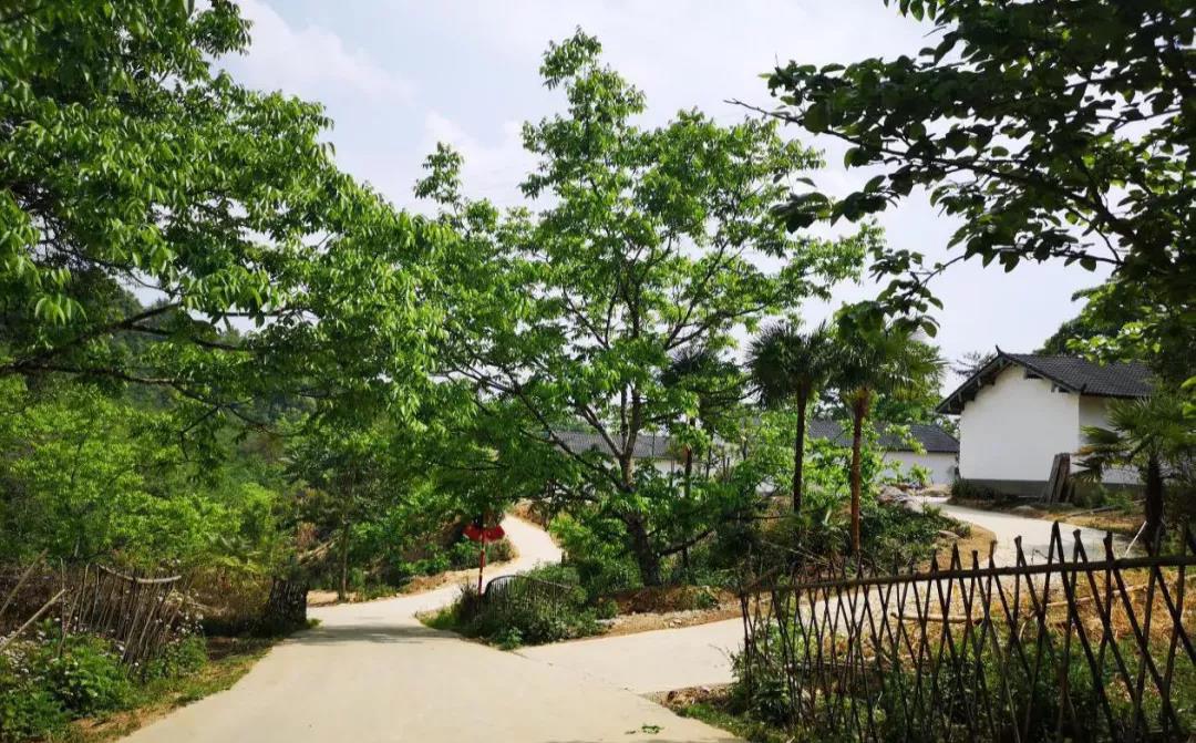 云南鄉(xiāng)村旅游，“玩”出特色！德宏：打好發(fā)展組合拳