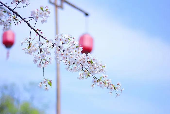 旅游景區(qū)如何良性循環(huán)應(yīng)對(duì)市場變化？