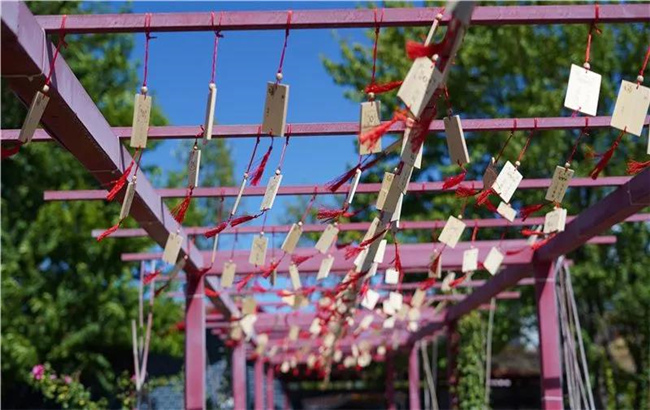 賞花親水、荷塘野趣……楚雄東華濕地公園許你一個(gè)繽紛夏日