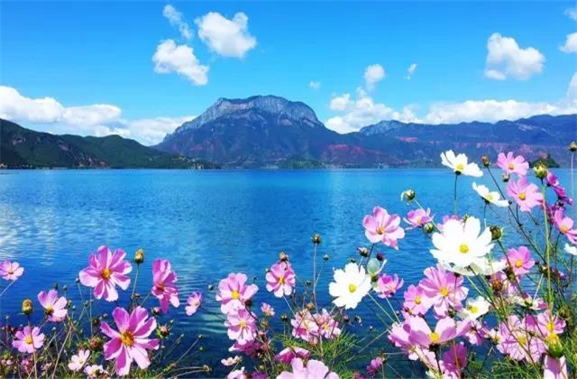 云南旅拍地推薦：七月的瀘沽湖，竟然可以美成這樣！