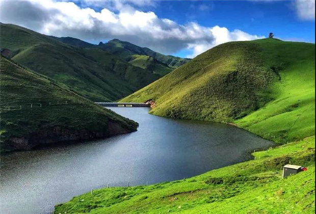 云南露營場地：夏天的大海草山，已經(jīng)美成了天堂！