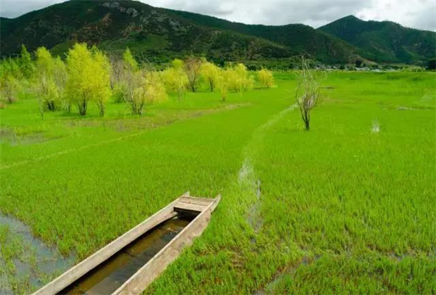 云南會展策劃：關(guān)于瀘沽湖的好風景，都想與你分享！