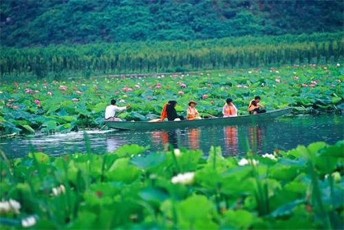 2022普者黑夏令營：山水田園，萬畝荷花游學(xué)，探訪彝族古村，感知民族文化！