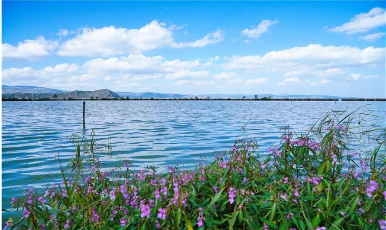 一程山水一程美景，追尋徐霞客走過(guò)的地方，游云南。