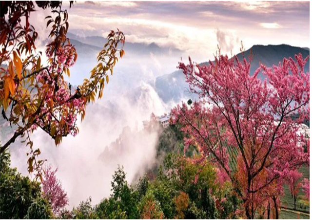 【聚焦旅交會(huì) 相約游大理】來(lái)南澗，在彝鄉(xiāng)體驗(yàn)自然之謎與民族之美