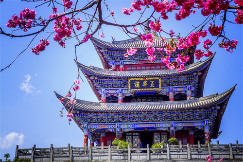 疫情過后，給自己來一場放縱的旅行...麗江的夏天愿你更美！
