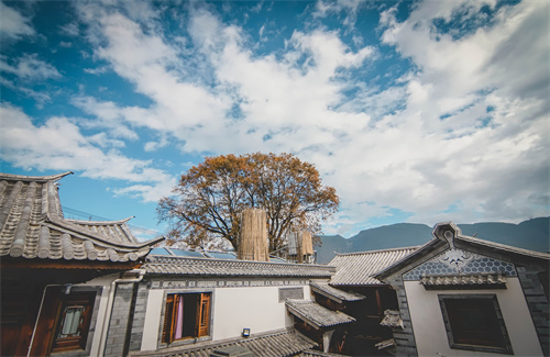 春節(jié)云南特輯 | 人少景美！春節(jié)云南旅游線(xiàn)路推薦三