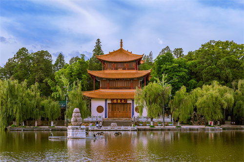 春暖四時(shí)，花開昆明，感受春城初春之美！