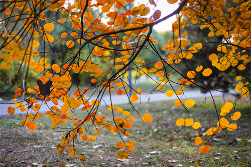 云南文創(chuàng)雪糕火出圈，“雪糕+景點(diǎn)”網(wǎng)紅式打卡驚靚一夏！