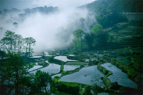 鄉(xiāng)村健康養(yǎng)生產(chǎn)業(yè)的客戶群體有哪些？它有什么開發(fā)要點(diǎn)？